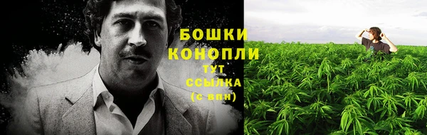 тгк Мегион
