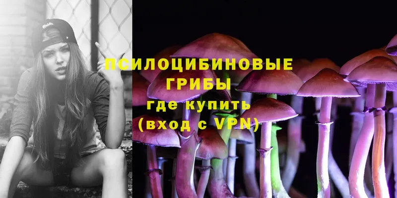 Псилоцибиновые грибы Magic Shrooms  Дубна 