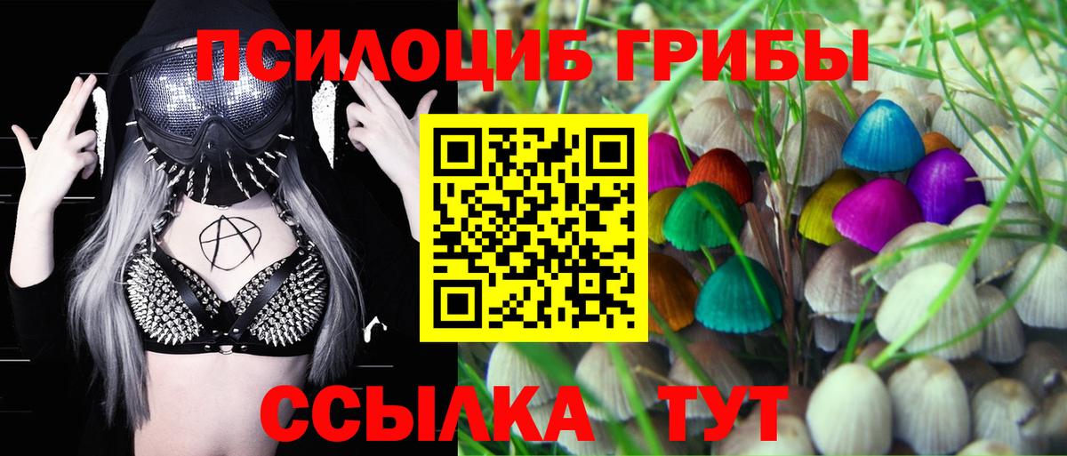 Псилоцибиновые грибы мицелий  как найти   Дубна  Вход с VPN 