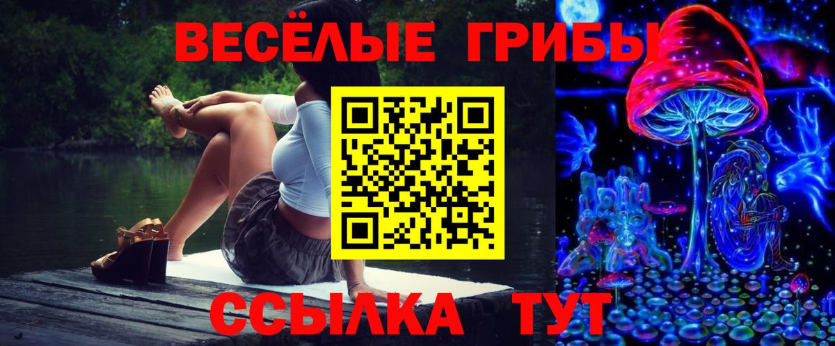 Псилоцибиновые грибы мицелий Дубна