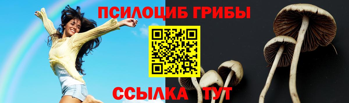 Галлюциногенные грибы Psilocybe Дубна